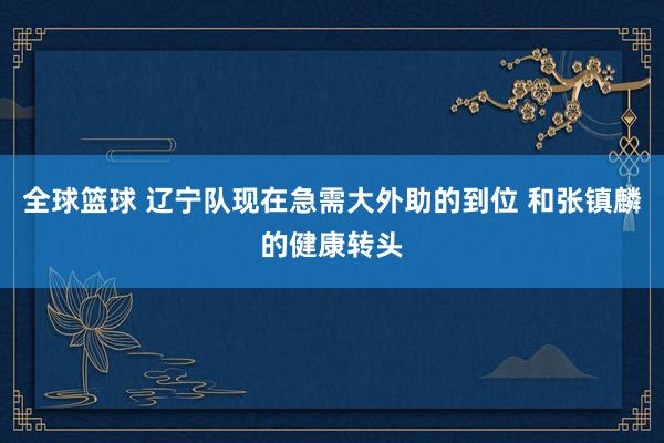 全球篮球 辽宁队现在急需大外助的到位 和张镇麟的健康转头