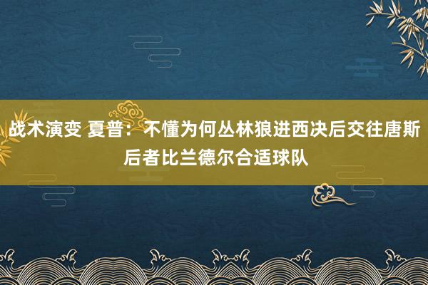 战术演变 夏普：不懂为何丛林狼进西决后交往唐斯 后者比兰德尔合适球队