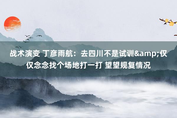 战术演变 丁彦雨航：去四川不是试训&仅仅念念找个场地打一打 望望规复情况