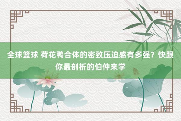 全球篮球 荷花鸭合体的密致压迫感有多强？快跟你最剖析的伯仲来学